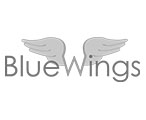 digital-brand-blue-wings